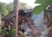 Dipicu Pembakaran Sampah, Kandang Kambing di Pakel Tepus Ludes Terbakar