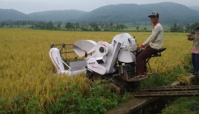 Wabup Gunungkidul Dorong Petani Beralih ke Pertanian Ramah Lingkungan Berbasis Teknologi