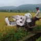 Wabup Gunungkidul Dorong Petani Beralih ke Pertanian Ramah Lingkungan Berbasis Teknologi