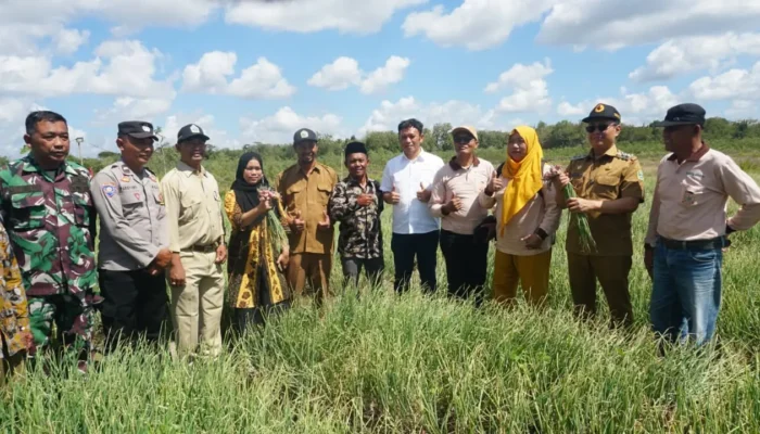 Kunjungi Sentra Bawang Merah di Playen, Wabup Joko Parwoto Dorong Kemandirian dan Digitalisasi Pertanian