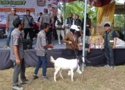 Semarak Rasulan Kedungpoh 2026: Dari Jalan Sehat, Pameran UMKM 10 Padukuhan, hingga Pentas Seni Jathilan