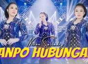 Lirik Lagu “Tanpo Hubungan” Niken Salindry dan Maknanya