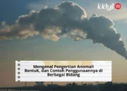 Mengenal Pengertian Anomali, Bentuk, dan Contoh Penggunaannya di Berbagai Bidang