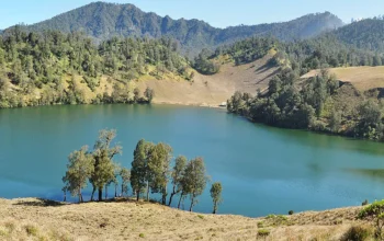 Menggapai Puncak Semeru, Atap Pulau Jawa Jalur, Pesona, dan Panduan Pendakian