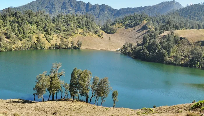Menggapai Puncak Semeru, Atap Pulau Jawa: Jalur, Pesona, dan Panduan Pendakian