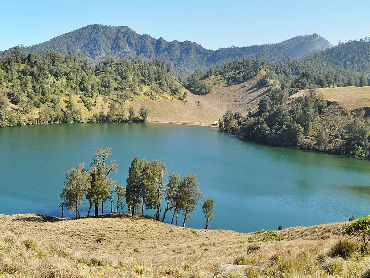 Menggapai Puncak Semeru, Atap Pulau Jawa Jalur, Pesona, dan Panduan Pendakian