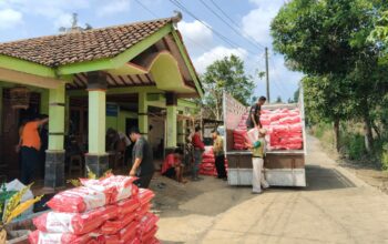 Pemerintah Salurkan 128,91 Ton Benih Jagung Hibrida APBN 2026 di Gunungkidul