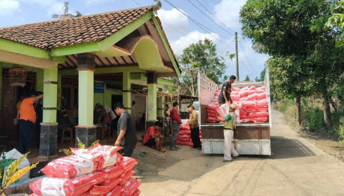 Perkuat Ketahanan Pangan, Pemerintah Salurkan 128,91 Ton Benih Jagung Hibrida APBN 2026 di Gunungkidul