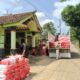 Pemerintah Salurkan 128,91 Ton Benih Jagung Hibrida APBN 2026 di Gunungkidul