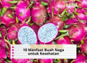10 Manfaat Buah Naga untuk Kesehatan dan Efek Sampingnya