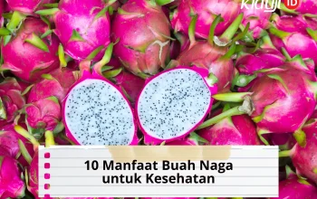 10 Manfaat Buah Naga untuk Kesehatan dan Efek Sampingnya