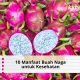10 Manfaat Buah Naga untuk Kesehatan dan Efek Sampingnya