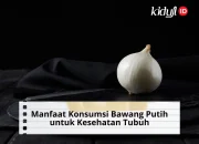 10 Manfaat Konsumsi Bawang Putih