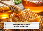 10 Manfaat Konsumsi Madu Asli untuk Kesehatan Tubuh dan Aturan Pakainya