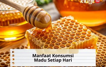10 Manfaat Konsumsi Madu Asli untuk Kesehatan Tubuh dan Aturan Pakainya