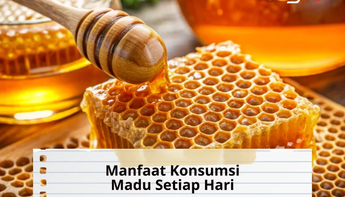 10 Manfaat Konsumsi Madu Asli untuk Kesehatan Tubuh dan Aturan Pakainya