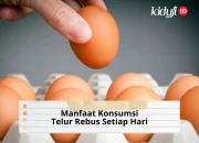 10 Manfaat Konsumsi Telur Rebus Setiap Hari bagi Kesehatan Tubuh