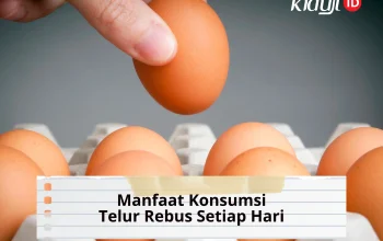 10 Manfaat Konsumsi Telur Rebus Setiap Hari bagi Kesehatan Tubuh