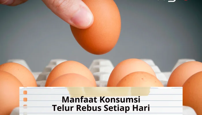 10 Manfaat Konsumsi Telur Rebus Setiap Hari bagi Kesehatan Tubuh