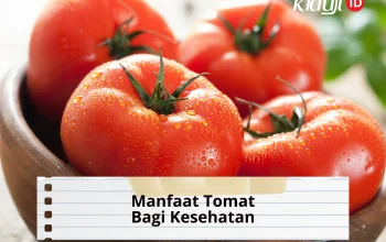 10 Manfaat Konsumsi Tomat untuk Kesehatan Tubuh dan Cara Terbaik Mengolahnya