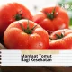 10 Manfaat Konsumsi Tomat untuk Kesehatan Tubuh dan Cara Terbaik Mengolahnya