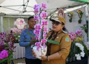 Gelar Potensi Pertanian Gunungkidul 2026 Dorong Modernisasi dan Regenerasi Petani