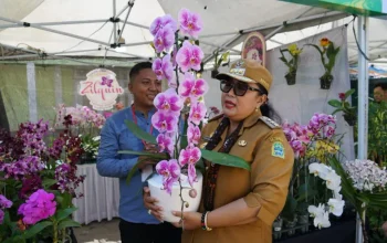 Gelar Potensi Pertanian Gunungkidul 2026 Dorong Modernisasi dan Regenerasi Petani