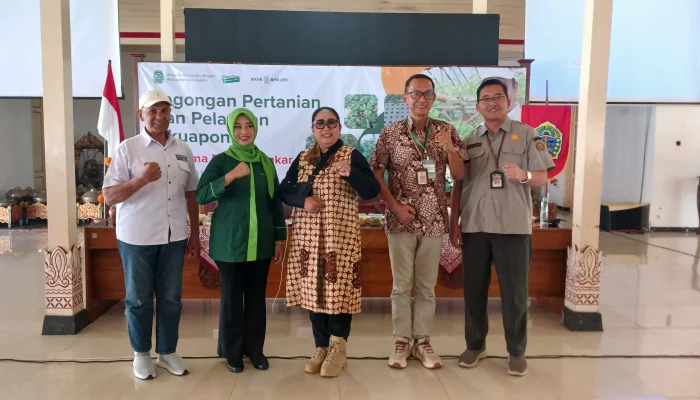 Gunungkidul Kenalkan Aquaponik, Inovasi Pertanian Hemat Air dan Lahan Bersama Mark Sungkar