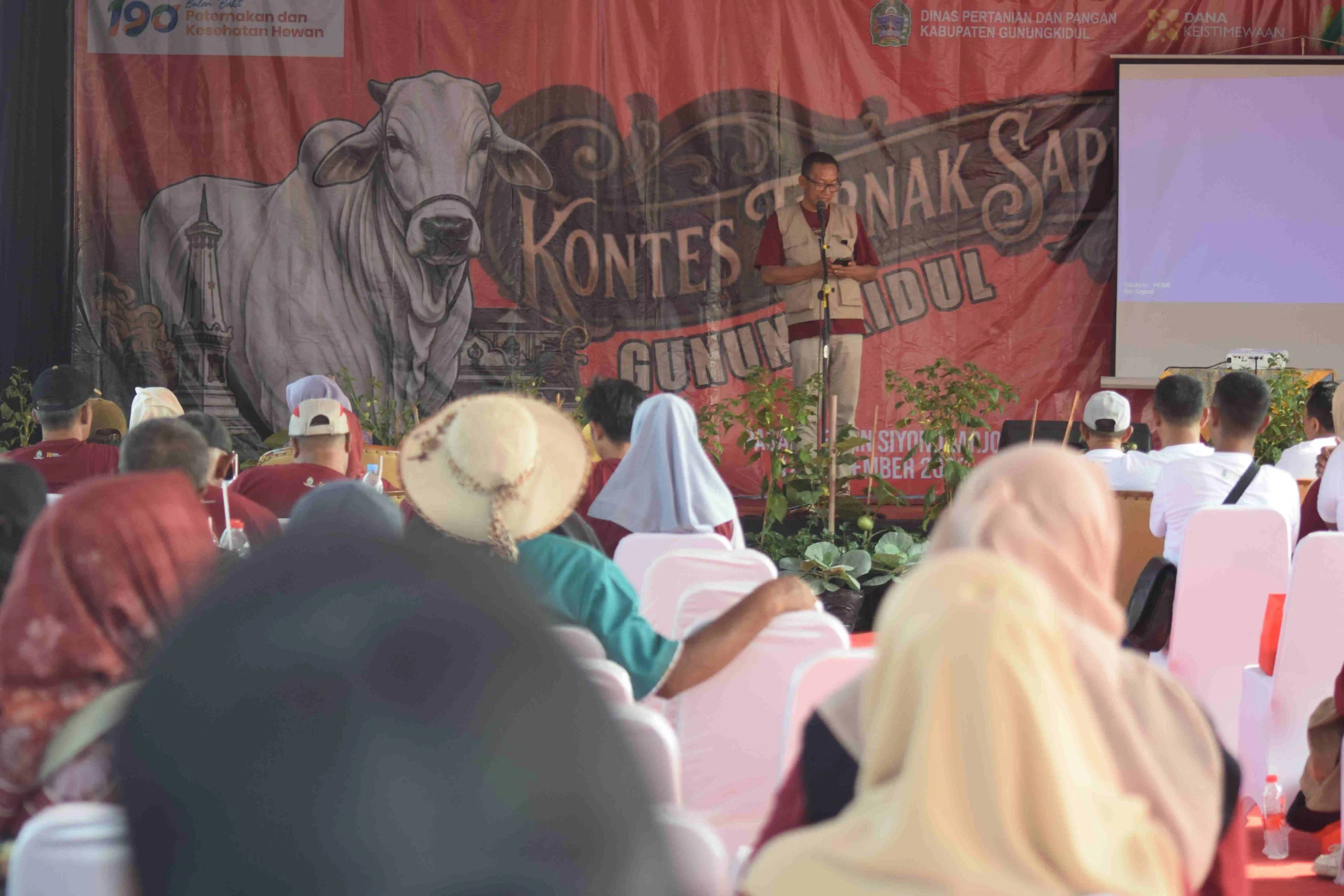 Kontes Ternak Sapi Lokal Piala Keistimewaan 2026 Digelar di Gunungkidul