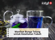 Manfaat Bunga Telang untuk Kesehatan Tubuh