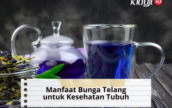 Manfaat Bunga Telang untuk Kesehatan Tubuh