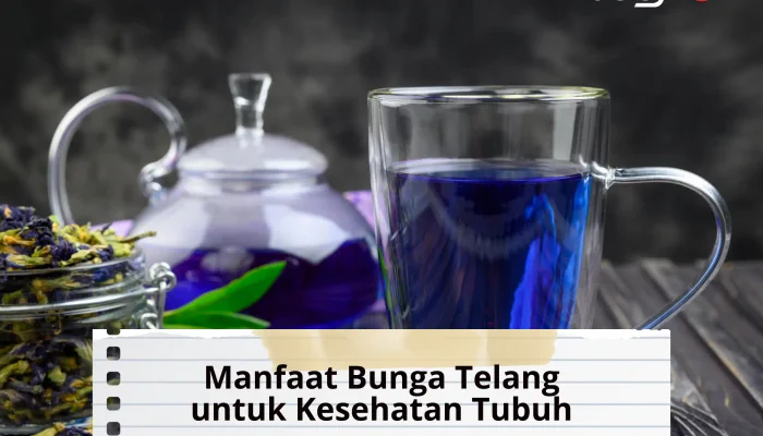 10 Manfaat Bunga Telang untuk Kesehatan Tubuh dan Efek Sampingnya