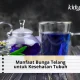 Manfaat Bunga Telang untuk Kesehatan Tubuh