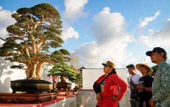 Ratusan Mahakarya Hijau Bertemu di Handayani Bonsai Festival II Gunungkidul