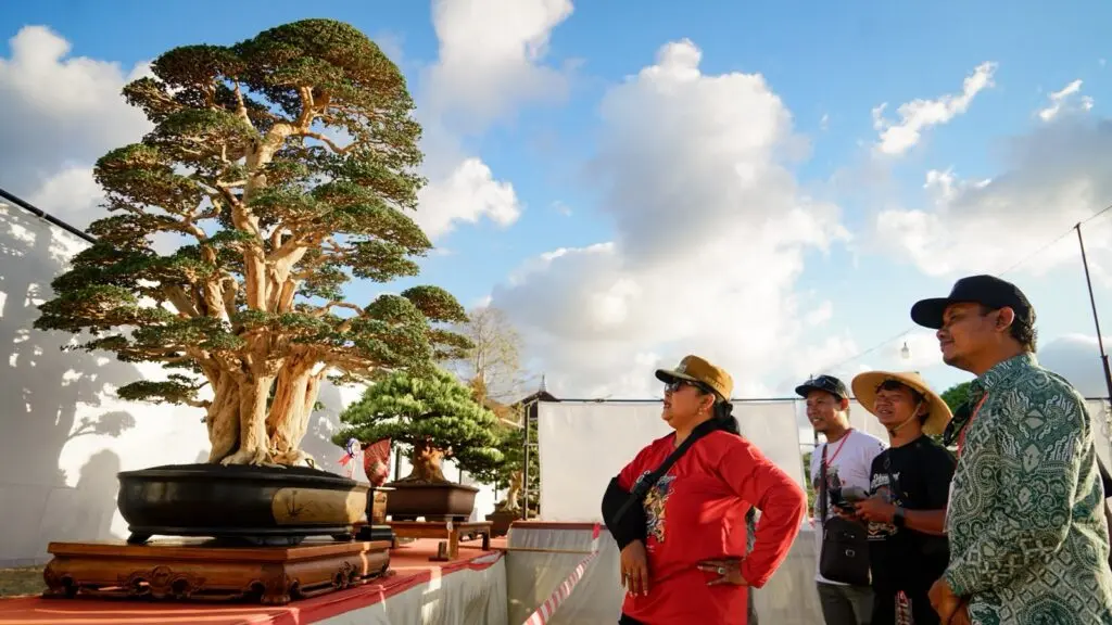 Ratusan Mahakarya Hijau Bertemu di Handayani Bonsai Festival II Gunungkidul